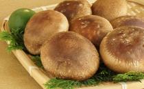 10种食物助力提升免疫力 提高免疫力的四食谱推荐