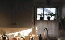 家里蟑螂多怎么办 居家消灭蟑螂有妙招