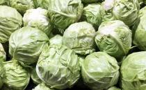 想要调理好肠胃应该吃的食物 胃炎食疗方推荐