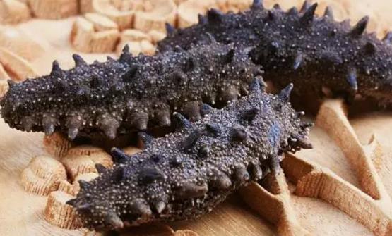 推荐春季补肾佳品 这就大海产品不容错过