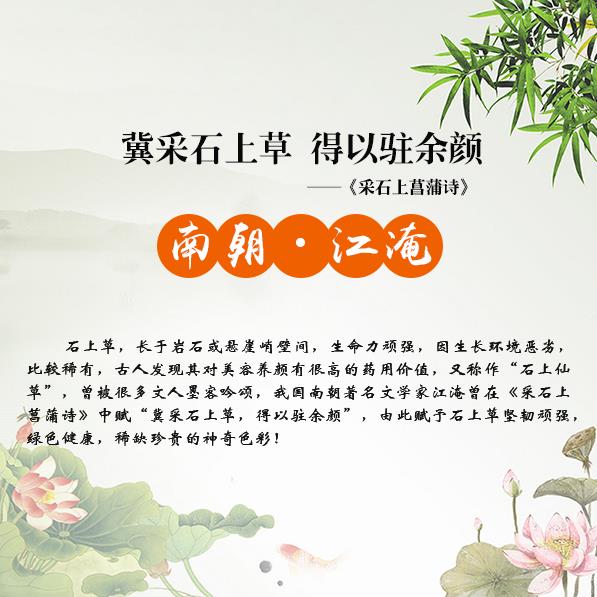 夏天掉头发是什么原因 怎么防掉头发？